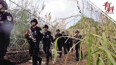 缉毒怎么使用监控系统(缉毒警察如何侦查)-第1张图片-安保之家 缉毒怎么使用监控系统(缉毒警察如何侦查)-第1张图片-安保之家