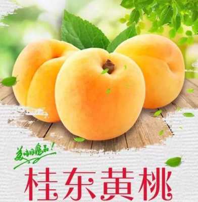 七月份成熟的最好的黄桃品种,2055d怎么放纸-第3张图片-安保之家 七月份成熟的最好的黄桃品种,2055d怎么放纸-第3张图片-安保之家