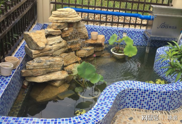 鱼池怎么装对射(庭院鱼池多深为好)-第2张图片-安保之家 鱼池怎么装对射(庭院鱼池多深为好)-第2张图片-安保之家