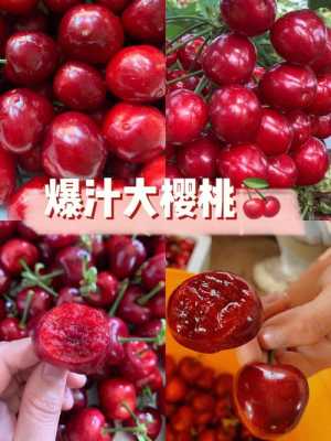怎么把樱桃视频移除iphone(樱桃催熟最快的方法)-第3张图片-安保之家 怎么把樱桃视频移除iphone(樱桃催熟最快的方法)-第3张图片-安保之家