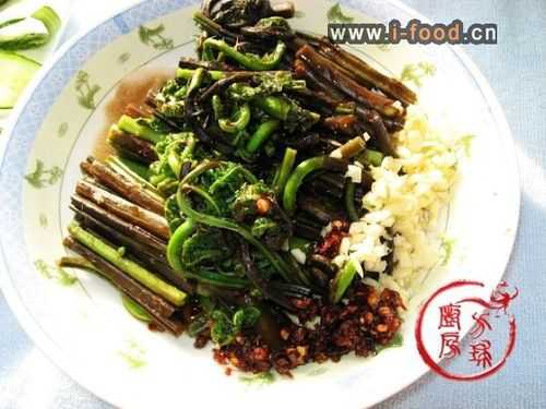 能吃的蕨菜有哪些,福建水龙怎么做好吃-第2张图片-安保之家 能吃的蕨菜有哪些,福建水龙怎么做好吃-第2张图片-安保之家