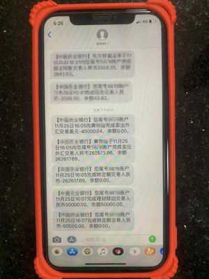 银行联网报警怎么样(银行联网报警怎么样撤销)-第2张图片-安保之家 银行联网报警怎么样(银行联网报警怎么样撤销)-第2张图片-安保之家