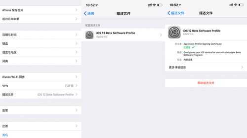 描述文件无效安装终止啥意思,怎么把下载描述文件删除掉-第2张图片-安保之家 描述文件无效安装终止啥意思,怎么把下载描述文件删除掉-第2张图片-安保之家