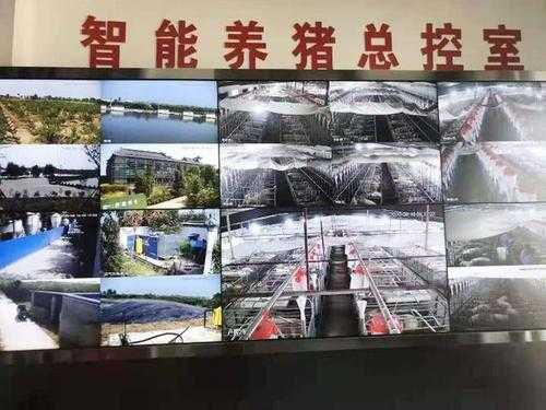 养殖场监控怎么选（养殖场监控哪种好）-第1张图片-安保之家