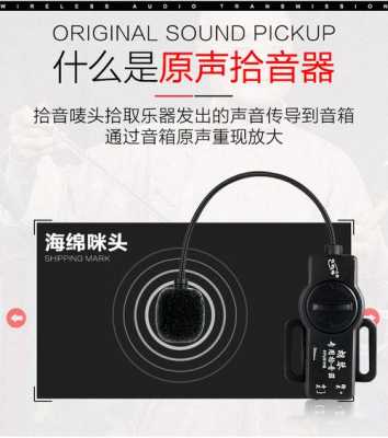 拾音器怎么选(拾音器怎么选择)-第2张图片-安保之家 拾音器怎么选(拾音器怎么选择)-第2张图片-安保之家