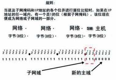 ip地址和子网怎么表示(IP和,子网掩码是什么)-第3张图片-安保之家 ip地址和子网怎么表示(IP和,子网掩码是什么)-第3张图片-安保之家