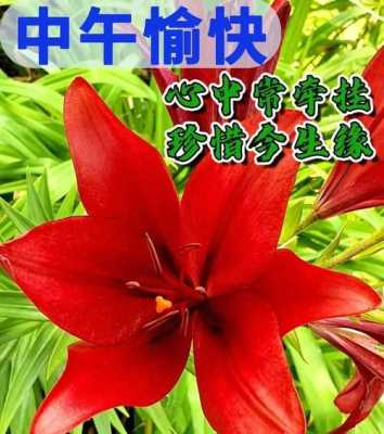 怎么能搜到丝瓜视频(冬瓜视频是头条旗下的吗)-第2张图片-安保之家 怎么能搜到丝瓜视频(冬瓜视频是头条旗下的吗)-第2张图片-安保之家
