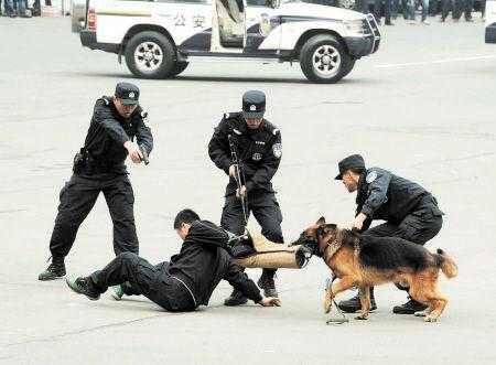 警用催泪瓦斯怎么解除(踢警犬犯法吗)-第1张图片-安保之家 警用催泪瓦斯怎么解除(踢警犬犯法吗)-第1张图片-安保之家