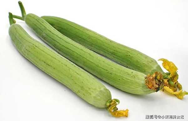 丝瓜视频怎么在没有了-第3张图片-安保之家 丝瓜视频怎么在没有了-第3张图片-安保之家