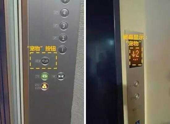 电梯按钮静电怎么办(电梯按钮静电怎么办啊)-第3张图片-安保之家 电梯按钮静电怎么办(电梯按钮静电怎么办啊)-第3张图片-安保之家