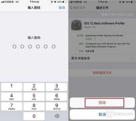 ios 14.5 rc版可以删除描述文件吗,配置描述文件怎么删除不可移除的文件-第3张图片-安保之家 ios 14.5 rc版可以删除描述文件吗,配置描述文件怎么删除不可移除的文件-第3张图片-安保之家