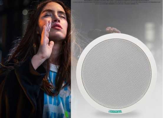 迪士普品牌属于几线品牌,迪士普音响怎么调声音大小-第2张图片-安保之家 迪士普品牌属于几线品牌,迪士普音响怎么调声音大小-第2张图片-安保之家