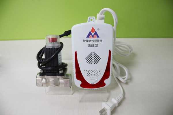 新疆报警器卡怎么充值(新疆报警器卡怎么充值的)-第1张图片-安保之家 新疆报警器卡怎么充值(新疆报警器卡怎么充值的)-第1张图片-安保之家