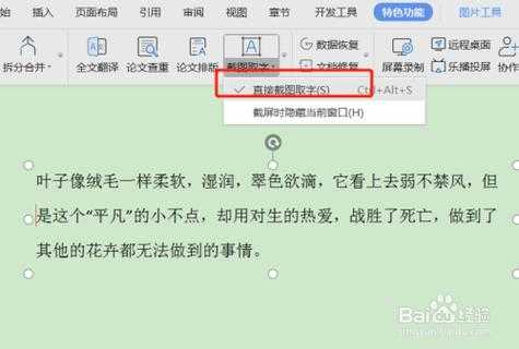 怎么抠掉图中提供方（WPS怎么抠掉图片里不要的字）-第3张图片-安保之家