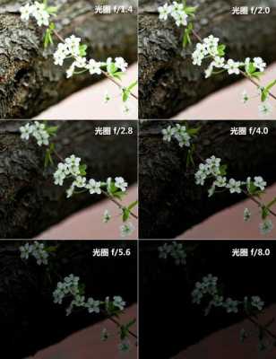请问一下,光圈的调节会产生什么样的效果,调整镜头光圈会怎么样吗-第2张图片-安保之家 请问一下,光圈的调节会产生什么样的效果,调整镜头光圈会怎么样吗-第2张图片-安保之家