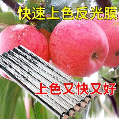 果树防雨大棚最新建法,学校防雨通道怎么做好看又简单-第2张图片-安保之家 果树防雨大棚最新建法,学校防雨通道怎么做好看又简单-第2张图片-安保之家