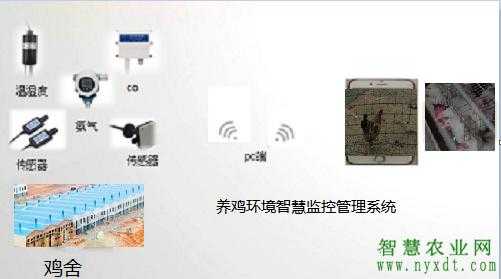 山上养鸡怎么装摄像头(山上养鸡怎么装摄像头)-第1张图片-安保之家 山上养鸡怎么装摄像头(山上养鸡怎么装摄像头)-第1张图片-安保之家