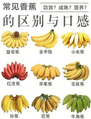 怎么去掉手机上的香蕉视频(手机上沾了502胶水该怎么除去啊)-第1张图片-安保之家 怎么去掉手机上的香蕉视频(手机上沾了502胶水该怎么除去啊)-第1张图片-安保之家