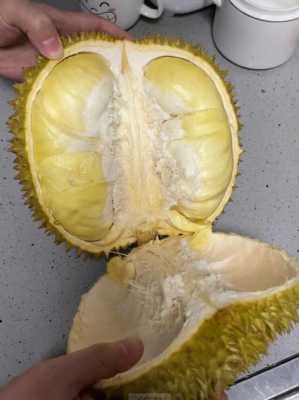 榴莲怎么杀视频教程大全(买回来的榴莲只有三房肉可以退吗)-第2张图片-安保之家 榴莲怎么杀视频教程大全(买回来的榴莲只有三房肉可以退吗)-第2张图片-安保之家