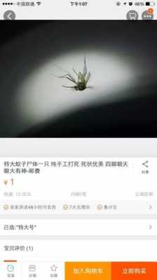 淘宝怎么买针孔摄像机-第2张图片-安保之家 淘宝怎么买针孔摄像机-第2张图片-安保之家