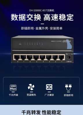 大华交换机怎么连接网络(大华交换机配置教程)-第3张图片-安保之家 大华交换机怎么连接网络(大华交换机配置教程)-第3张图片-安保之家
