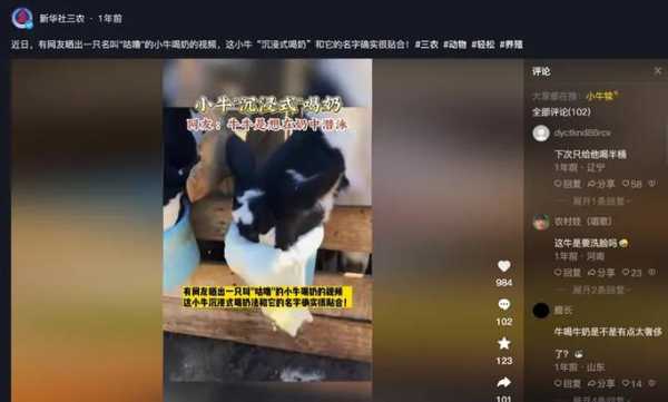 丝瓜视频最近怎么不更新了(怎样绑定丝瓜号)-第2张图片-安保之家 丝瓜视频最近怎么不更新了(怎样绑定丝瓜号)-第2张图片-安保之家