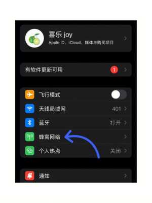 苹果手机怎么关掉5G(怎么关掉5g苹果)-第2张图片-安保之家 苹果手机怎么关掉5G(怎么关掉5g苹果)-第2张图片-安保之家