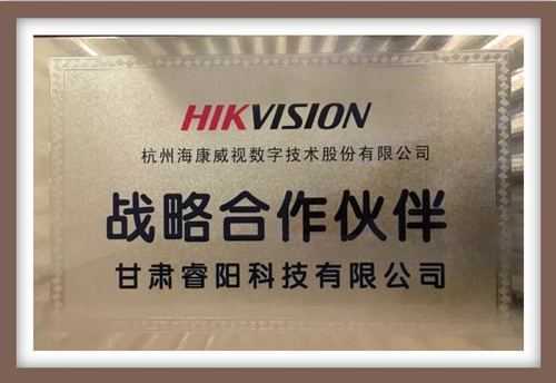海康威视创新怎么办(海康互联团队有什么用)-第2张图片-安保之家 海康威视创新怎么办(海康互联团队有什么用)-第2张图片-安保之家