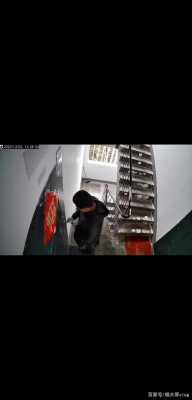 小偷怎么躲避报警器的(小偷怎么躲避报警器的监控)-第2张图片-安保之家 小偷怎么躲避报警器的(小偷怎么躲避报警器的监控)-第2张图片-安保之家