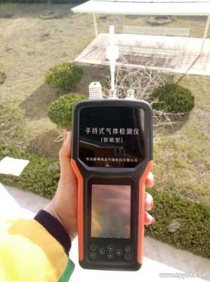 pH报警器探头怎么接(ph3报警器)-第1张图片-安保之家 pH报警器探头怎么接(ph3报警器)-第1张图片-安保之家